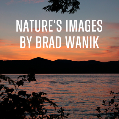 NATURE’S IMAGES BY BRAD WANIK